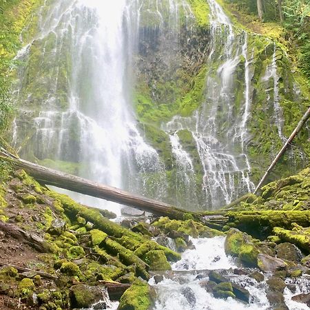 Mckenzie River Mountain Resort Blue River Exteriör bild