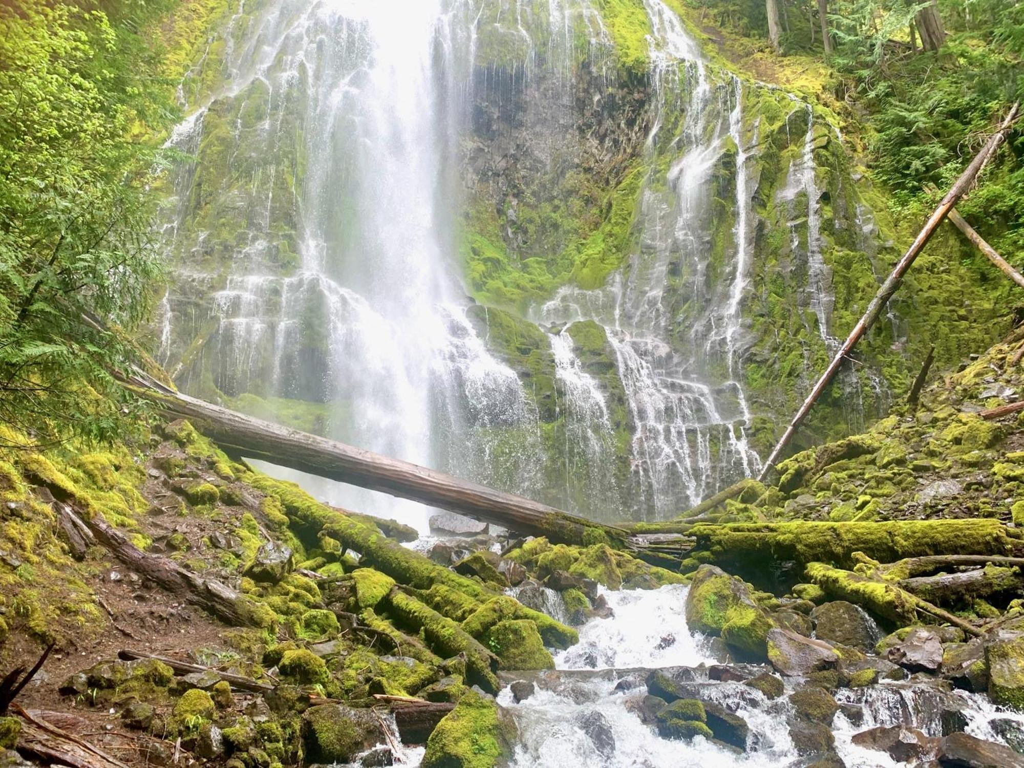 Mckenzie River Mountain Resort Blue River Exteriör bild