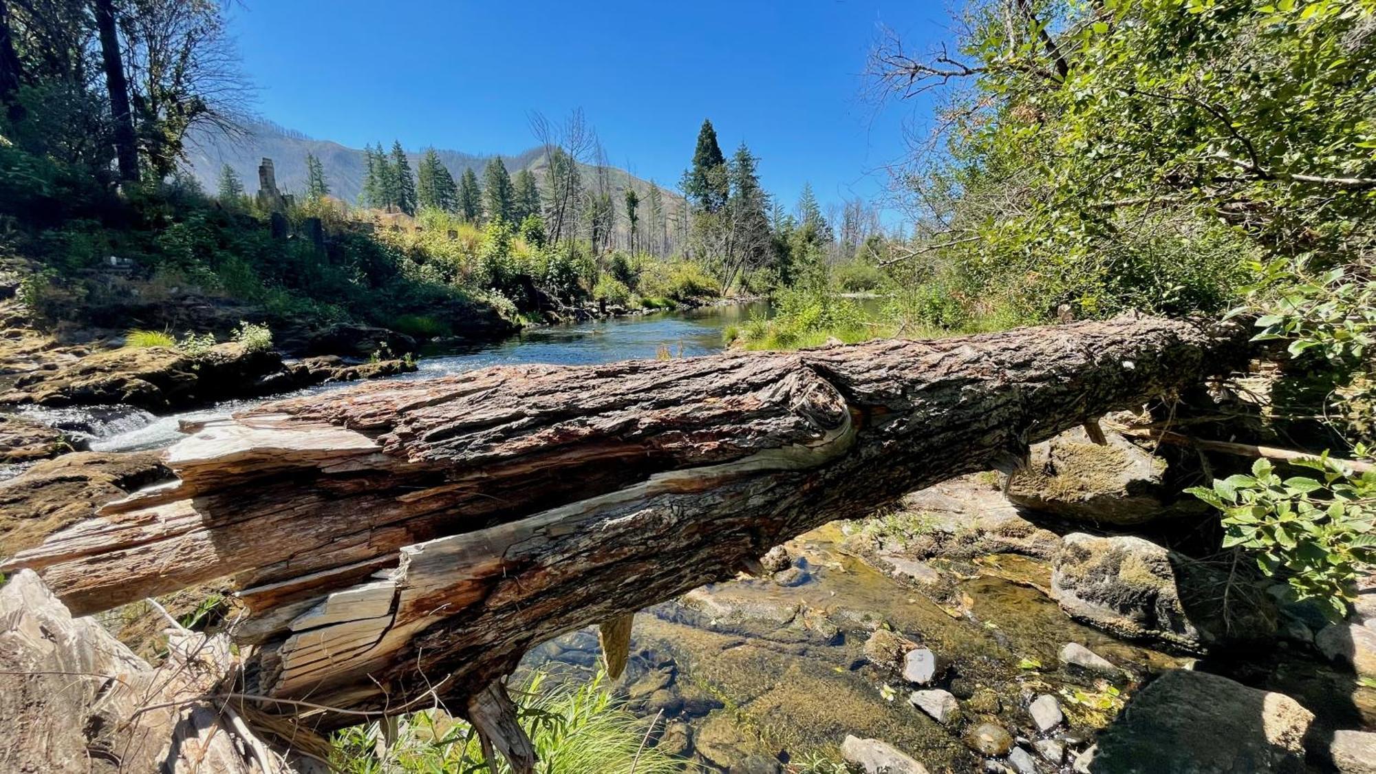 Mckenzie River Mountain Resort Blue River Exteriör bild